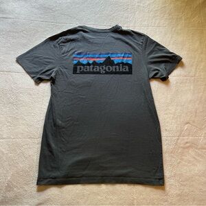 Patagonia T-shirt